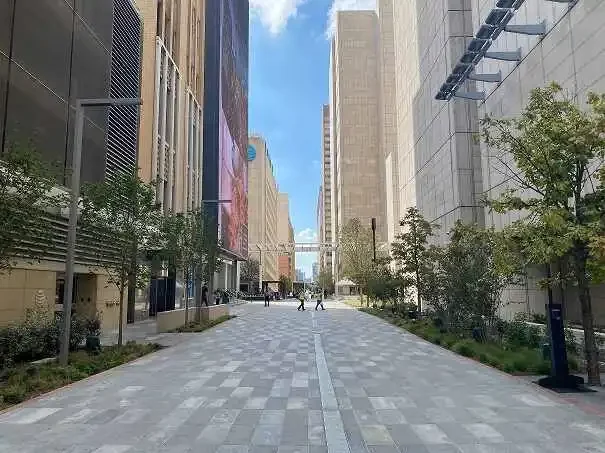 Dallas PPC