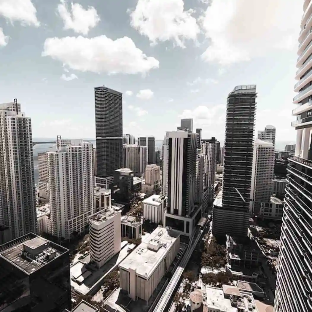 Top SEO agency in Miami