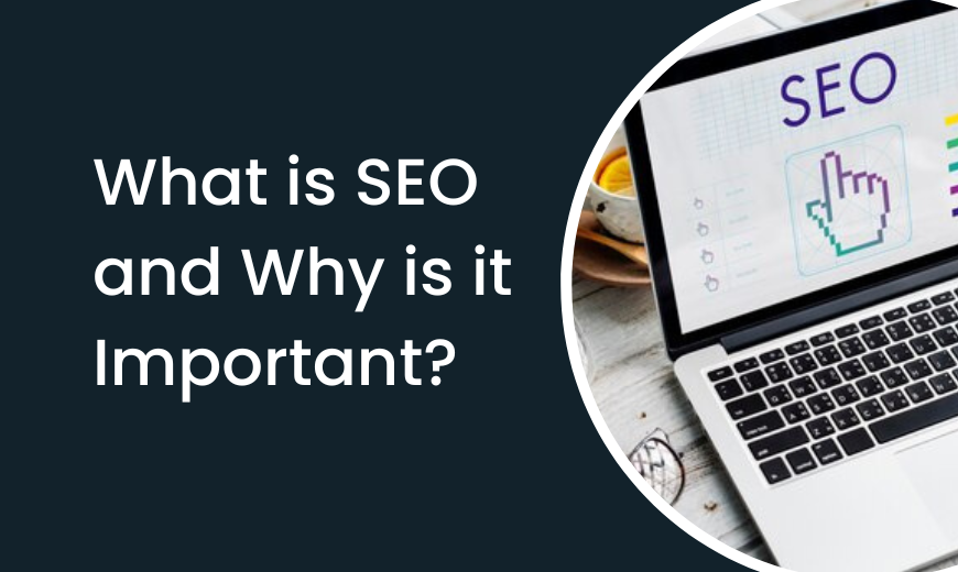What-is-SEO-and-Why-is-it-Important